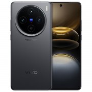 12G+256G 版立减 500 元：vivo X100s 手机 3432 元京